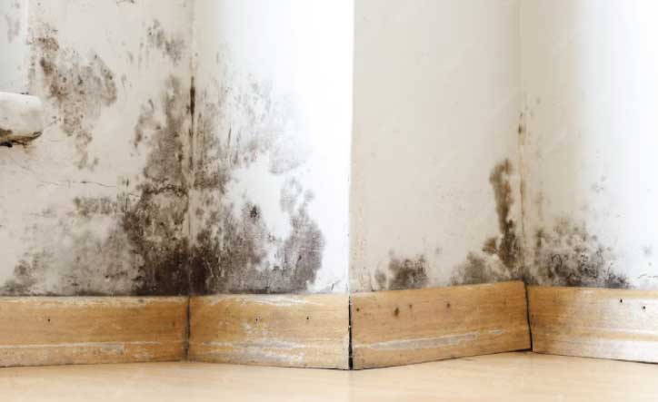 Errores comunes al NO realizar la Inspección Técnica de Vivienda